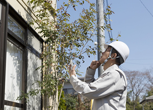 無料現地調査